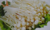 빽